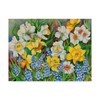 Trademark Fine Art Joanne Porter 'Daffodils And Grape Hyacinths' Canvas Art, 35x47 ALI30476-C3547GG